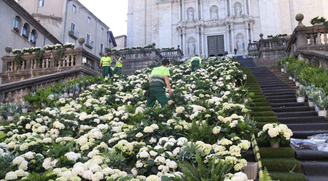Girona s'omple de vegetació i colors amb els preparatius del Temps de Flors