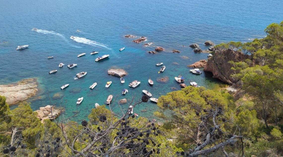 Roben les boies de les cales del Crit, el Vedell i Font Morisca de Mont-ras per tercer cop