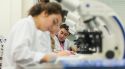 La UdG i la Universitat de Perpinyà creen un programa d'educació i investigació conjunt