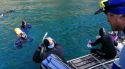 IAEDEN critica el Pla rector del Cap de Creus per la manca d’ambició en la protecció marina