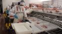 El clúster català de la carn coordina un projecte amb escorxadors per reutilitzar les aigües residuals
