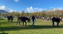 Banyoles suspèn la 47a edició de la Fira de Sant Martirià per la DNC
