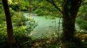 Restauren els aiguamolls artificials de la depuradora de Begudà per millorar la biodiversitat