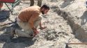 Descobreixen una fossa d'animals sacrificats per botulisme a la vil·la romana de Vilauba