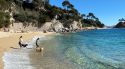 Calonge i Platja d'Aro es queden sense platja per a gossos a la cala Belladona