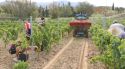 La DO Catalunya incorpora sis nous municipis gironins a la seva zona de producció
