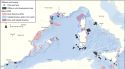 Nou zones per a l'eòlica marina se solapen o bé limiten amb àrees protegides
