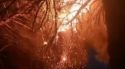 Els Bombers treballen en un incendi de vegetació prop de l'estació de tren a Blanes