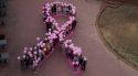 L'Oncolliga atén 2.223 persones entre malalts de càncer i familiars, el 68% de les quals són dones