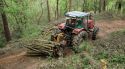 Finalitza la primera fase de neteja de boscos a la Vall de Bianya
