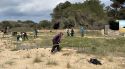 Una vintena de voluntaris netegen les dunes a la platja de Castell a Palamós