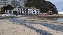 Palafrugell trigarà tres setmanes a netejar les platges de 'barquetes de Sant Pere'