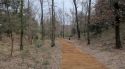 El Consell Comarcal de la Selva impulsa un nou parc ornitològic a Riells i Viabrea