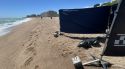 Troben un dofí mort a la platja del passeig de la Marina de Blanes