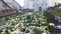 Girona s'omple de vegetació i colors amb els preparatius del Temps de Flors