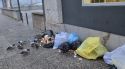 Girona admet disfuncions en la recollida de residus i anuncia mesures de reforç