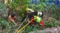 Rescaten un jove i el seu gos atrapats en caure 15 metres per un barranc a Tossa