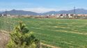 Salt enllesteix l'últim tràmit urbanístic del Campus de Salut