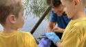 El Consorci de l’Estany allibera 15 tortugues a les llacunes de Can Morgat