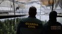 La Guàrdia Civil desmantella una xarxa criminal dedicada al cultiu de marihuana a Girona i Barcelona