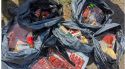 Tres detinguts per robar en quatre supermercats de Girona, l'Estartit, Torroella i l'Escala
