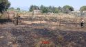 Extingit un incendi de vegetació a Mollet de Peralada