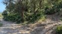 Els propietaris forestals de les Gavarres s'organitzen per fer franges protecció davant incendis