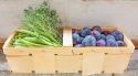 ''Petits canvis per menjar millor'': una guia per cuidar la teva alimentació