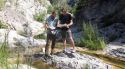 Investiguen els peixos supervivents en rius que s'assequen a la demarcació de Girona