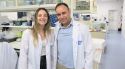 L'IDIBGI detecta una nova proteïna amb un paper en la disfunció del greix corporal en obesos