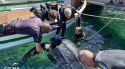 Alliberen una gran tortuga llaüt atrapada al port de Colera