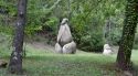El Bosc de Can Ginebreda celebra 50 anys amb una jornada especial