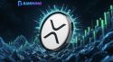 Guanya fins a 5.820 dòlars al dia amb XRP, BJMINING obrint un canal d'ingressos estable