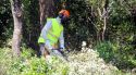 Girona crea un escut forestal per protegir 150.000 persones de grans incendis