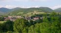 La Vall de Camprodon impulsa un pla forestal conjunt per ordenar boscos i reduir costos