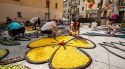 Arbúcies homenatja els 80 anys de les catifes florals amb 26 creacions al centre del poble