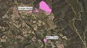 La IAEDEN porta l'ampliació d'una granja de porcs de Cantallops als tribunals