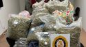 Tres detinguts i gairebé 100 quilos de marihuana intervinguts en un operatiu a Figueres