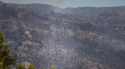 ''S’ha anat tard'': les Gavarres exigeixen més recursos després del gran incendi