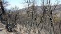 L’alcalde de Cruïlles critica el confinament de tot el municipi per l’incendi de les Gavarres