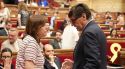 Paneque defensa que el Govern no és responsable de l’origen del foc de les Gavarres