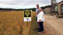 Neix la 'Farming League' per premiar els millors productors de blat de secà gironins