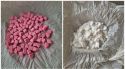Detenen a Olot una jove amb 190 pastilles d’èxtasi i més de 50 grams de cocaïna