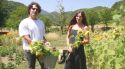 Una parella impulsa des de Beget un negoci de flors de temporada cultivades al Ripollès