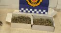 La Unitat Canina de Blanes deté un home amb més de 267 grams de marihuana a l’estació