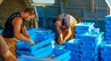 Els pescadors del Cap de Creus porten el peix de proximitat al Fòrum Gastronòmic de Figueres