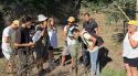 El BioBlitz de Palamós documenta 299 espècies i fotografia un mero blanc