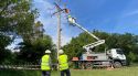 Endesa adapta 40 torres elèctriques a l'Alt Empordà per protegir l'ibis ermità