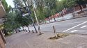 Denuncien més d'un miler d'escocells buits o amb arbres asfixiats a Girona