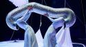 Palamós acollirà l'11a edició del festival de dansa contemporània Ona-Dance